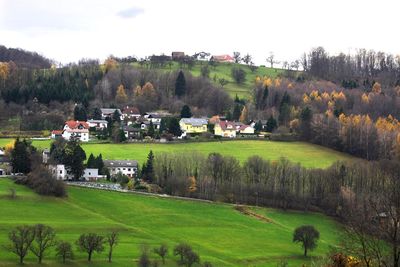 Houses on field