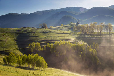 Scenic view of field and mountains against sky