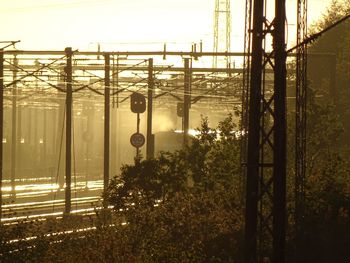 Plants by electricity pylon against sky during sunset