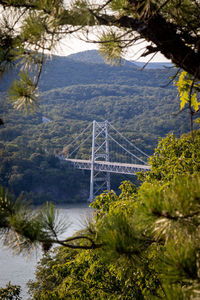 High angle view of suspension bridge