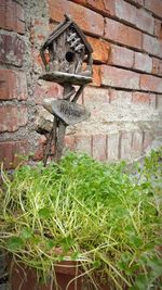 Close-up of brick wall