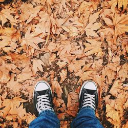 Low section of man standing on dry leaves