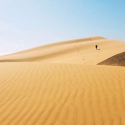 Rear view of person walking in desert