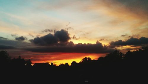 Silhouette of trees at sunset