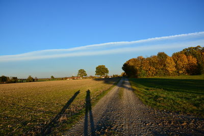 Road amidst trees on field against blue sky