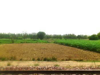 Scenic view of rural landscape