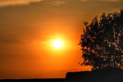 Silhouette tree against orange sky