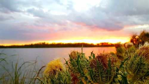 Scenic view of lake against sky during sunset