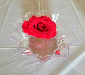 High angle view of rose in glass on table