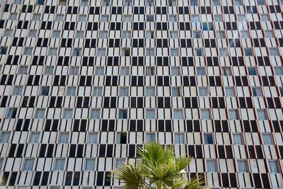 Low angle view of palm tree against building