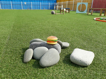 Soccer ball on field