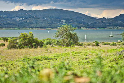 Scenic view of lake and mountains against sky