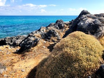 Scenic view of rocks on beach against sky