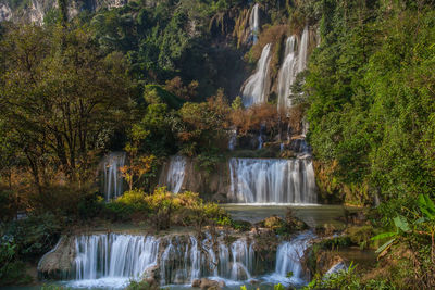 Scenic view of waterfall in forest