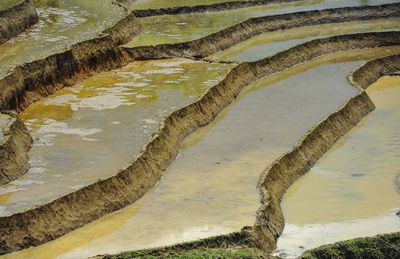 High angle view of river amidst trees