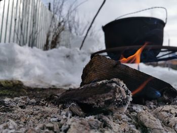 Close-up of firewood on log in winter