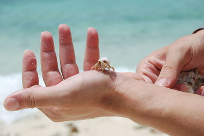 Close-up of cropped hand