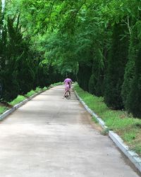 Children cycling on road