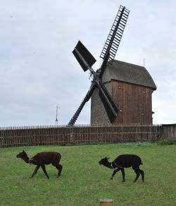 Traditional windmill on field against sky