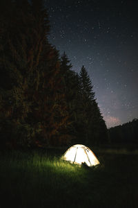 Illuminated tent in the wilderness forest against sky at night. 