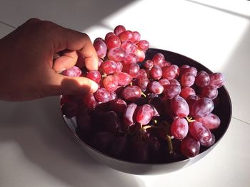 Close-up of hand holding strawberries
