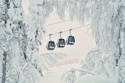 Three cable cars or gondola lifts going up the slope, pictured through the snow-covered trees. 
