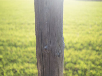 Close-up of wooden post on field