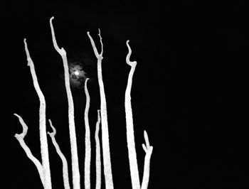 Close-up of moon against black background