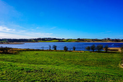 Scenic view of grassy field by lake against blue sky