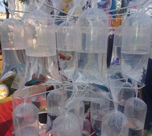 Close-up of fish in plastic bag for sale in market