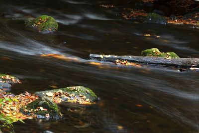 Scenic view of river by rocks