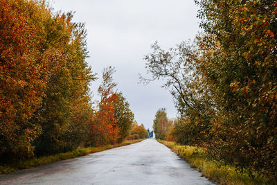 Asphalt empty road between autumnal yellow and red trees.