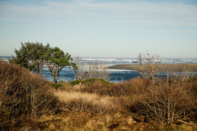 Scenic view of beach and sea against sky