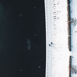 High angle view of turtle in water