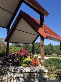 Red flowering plants by building against clear sky