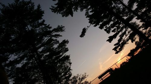 Low angle view of trees against sky