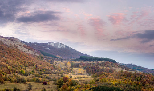 Scenic view of landscape against sky during autumn