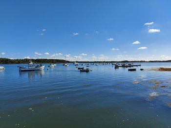 Sailboats in lake against sky