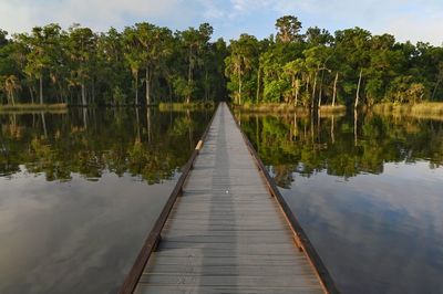 Scenic view of lake by trees against sky