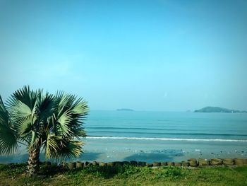 Scenic view of sea against clear blue sky