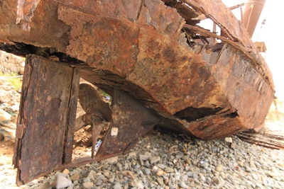 wood
