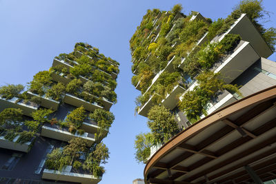 Low angle view of tree and building against sky