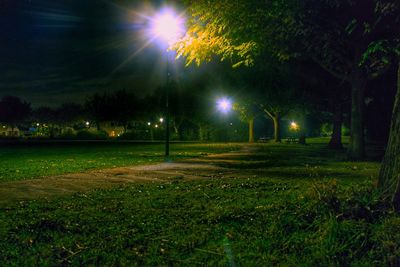 View of trees on footpath at night