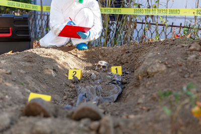 Low section of person working on road