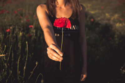 Midsection of woman holding flower