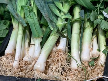 High angle view of vegetables for sale at market stall