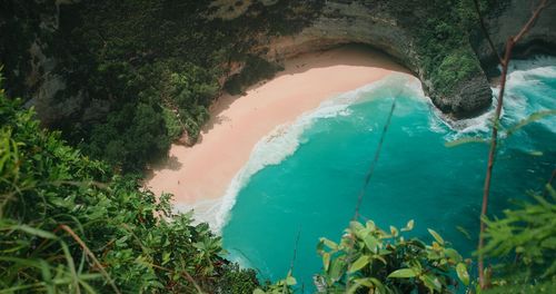 Tropical pink sandy kelingking beach with crystal clear ocean water on nusa penida island, bali.