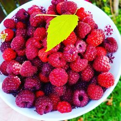 Close-up of strawberries