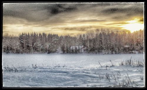 Scenic view of snow covered landscape