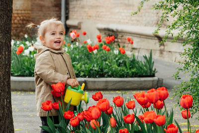 Spring gardening activities for kids. cute toddler little girl in raincoat watering red tulips